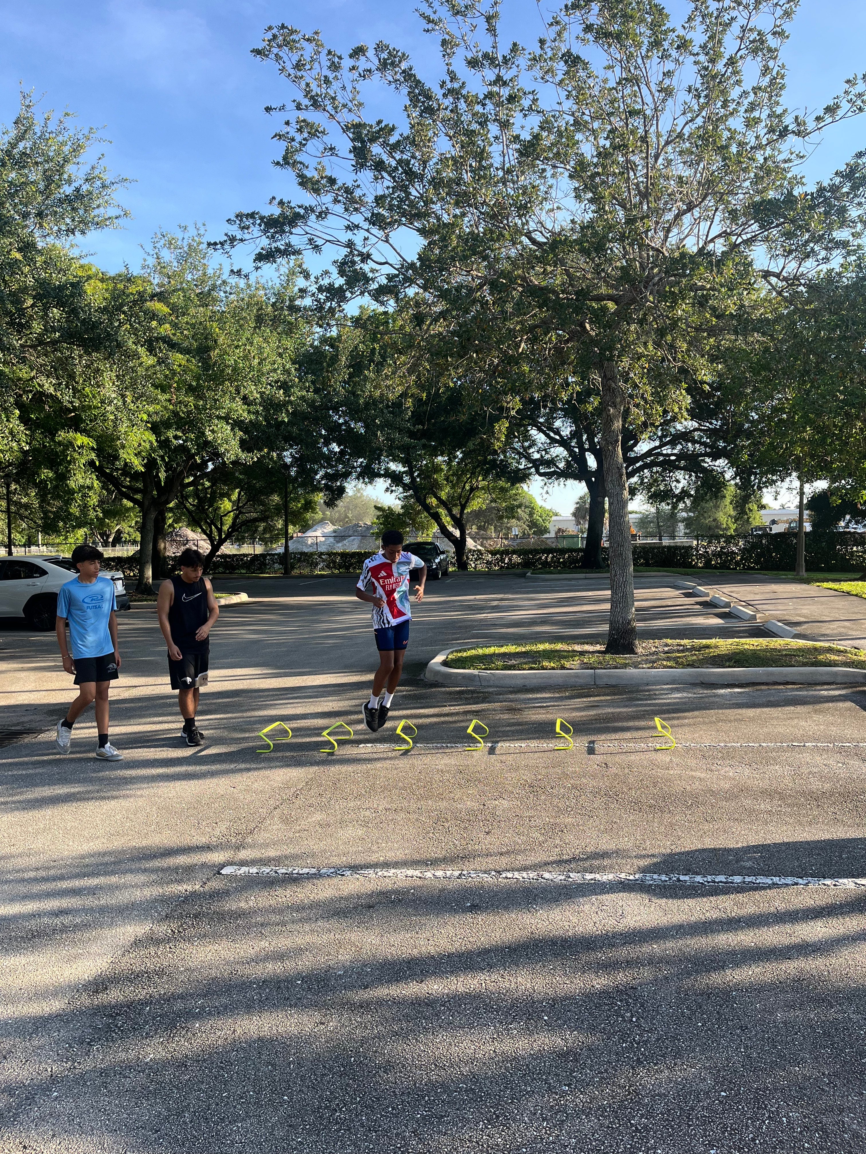 Strength & Agility Training